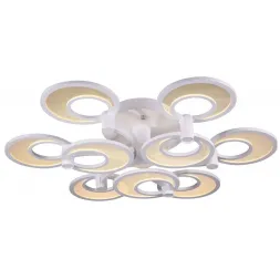Потолочный светодиодный светильник ST Luce Nola SL898.502.09