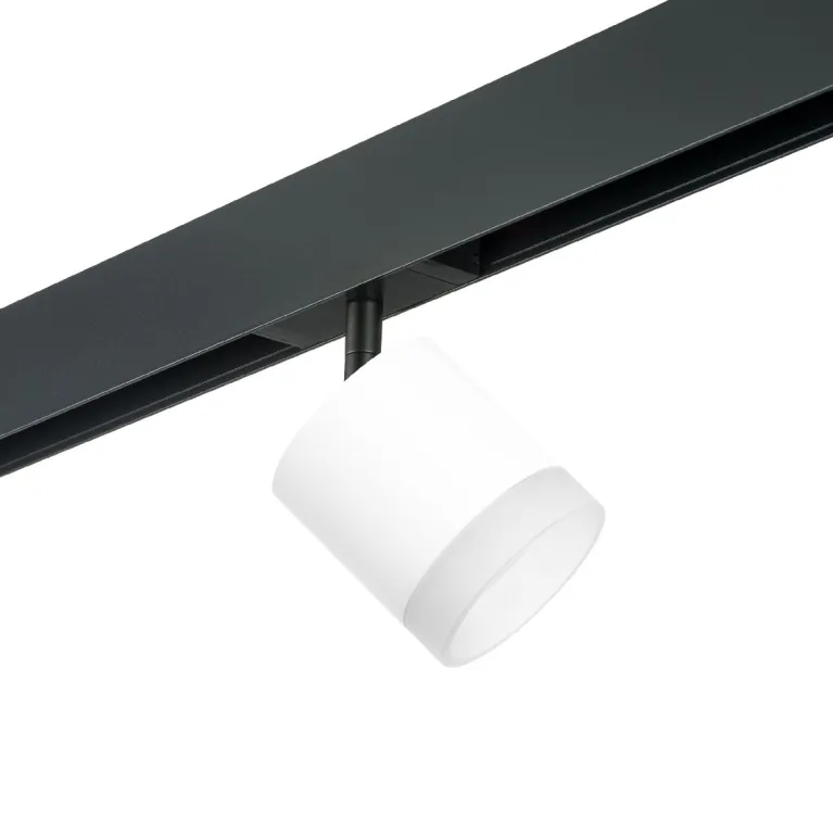 Трековый однофазный светильник Lightstar Rullo (213486+595087+202480) PRO348680 в Нижнем Новгороде