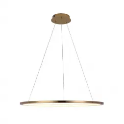 Подвесной светодиодный светильник Loft IT Ring 10014L