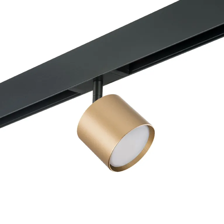 Трековый однофазный светильник Lightstar Rullo (213490+595087) PRO3490 в Нижнем Новгороде