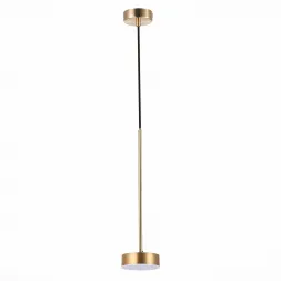 Подвесной светодиодный светильник ST Luce Pances SL6000.303.01