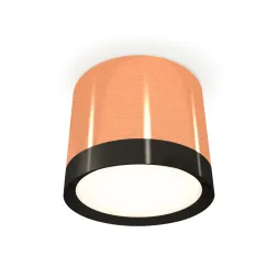 Потолочный светильник Ambrella Light Techno Spot XS8122001 (C8122, N8113)