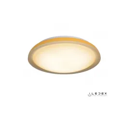 Потолочный светильник iLedex Chameleon 24W ORANGE