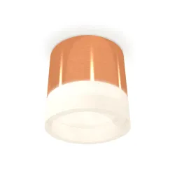 Потолочный светильник Ambrella Light Techno Spot XS8122010 (C8122, N8401)
