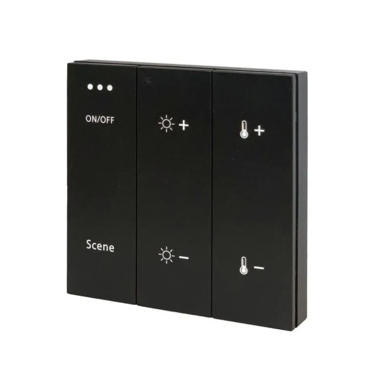 Панель управления ST Luce Skyline ST015.400.99 в Нижнем Новгороде