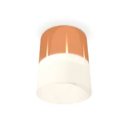 Потолочный светильник Ambrella Light Techno Spot XS8122011 (C8122, N8402)
