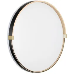 Настенно-потолочный светодиодный светильник Sonex Pale Olidi Black 7647/DL