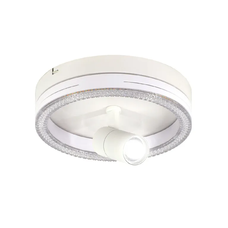Потолочный светильник Escada 20044SMA/02LED WH в Нижнем Новгороде