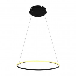 Подвесной светодиодный светильник Arte Lamp A2500SP-1BK