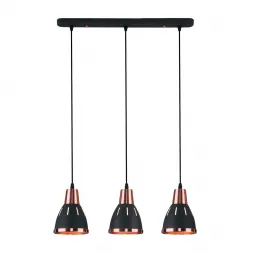 Подвесной светильник Eurosvet 50173/3 черный