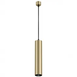 Подвесной светильник Maytoni Technical Focus P075PL-01MG