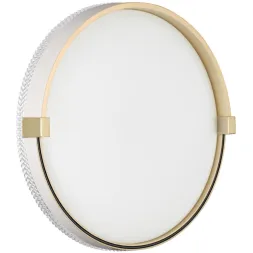 Настенно-потолочный светодиодный светильник Sonex Pale Olidi White 7646/CL