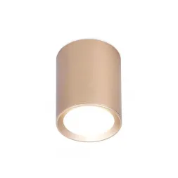 Потолочный светильник Ambrella light Techno Spot TN216