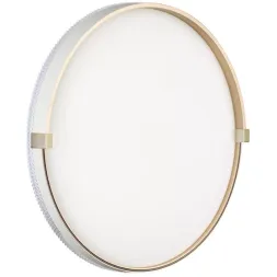 Настенно-потолочный светодиодный светильник Sonex Pale Olidi White 7646/DL