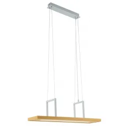 Подвесной светодиодный светильник Eglo Tondela 96959