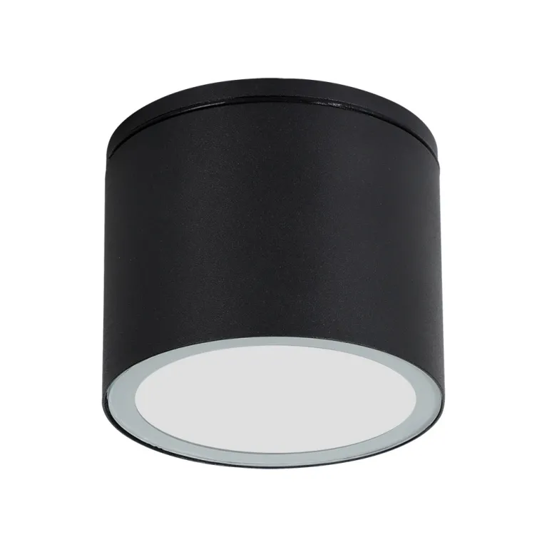 Уличный потолочный светильник Arte Lamp Piautos A1913PF-1BK в Нижнем Новгороде
