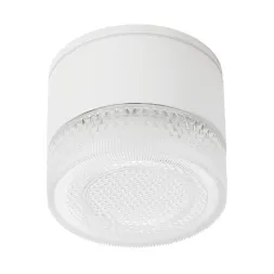 Уличный потолочный светильник Arte Lamp Piautos A1926PF-1WH