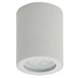 Потолочный светильник Denkirs DK3007-WH
