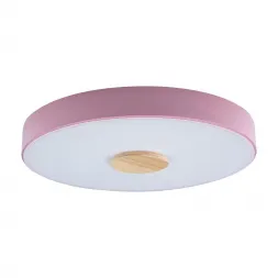 Потолочный светодиодный светильник Loft IT Axel 10003/24 pink