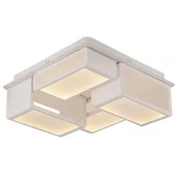 Настенно-потолочный светодиодный светильник Kink Light Ахенк 5617-4,01