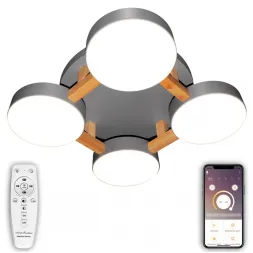 Потолочный светильник Natali Kovaltseva LED LAMPS 81326