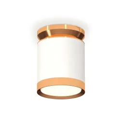 Потолочный светильник Ambrella Light Techno Spot XS8141030 (N8909, C8141, N8124)