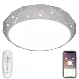 Потолочный светильник Natali Kovaltseva LED LAMPS 81205