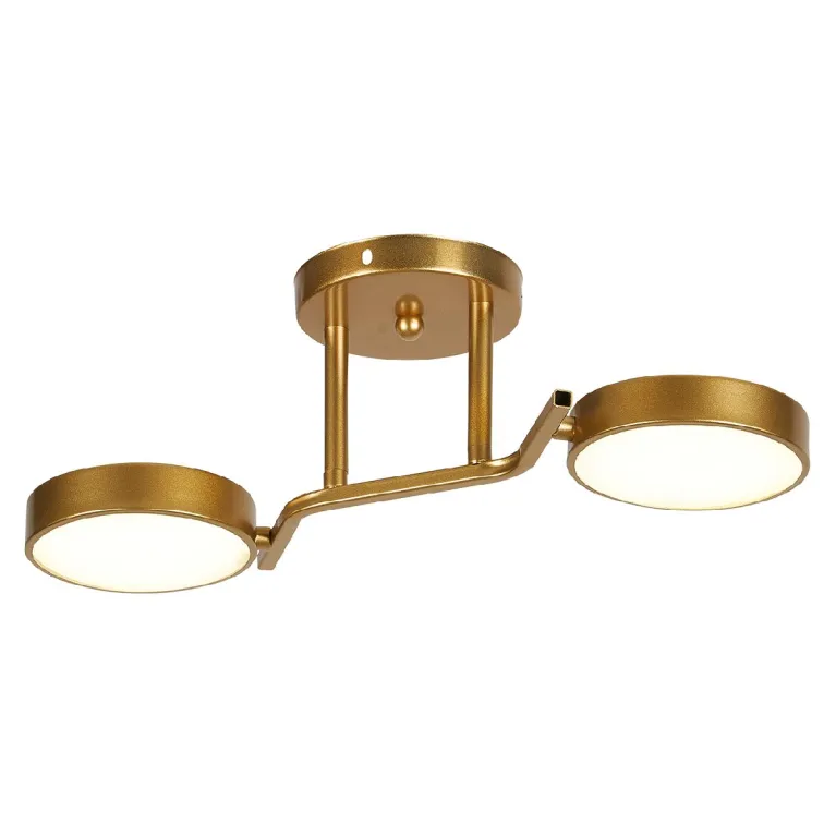 Потолочный светильник Escada Starlight 10273/2LED в Нижнем Новгороде