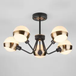 Потолочная люстра Eurosvet 70093/5 черный