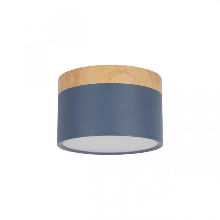 Накладной светодиодный светильник Loft IT Grape 10162 Blue в Нижнем Новгороде