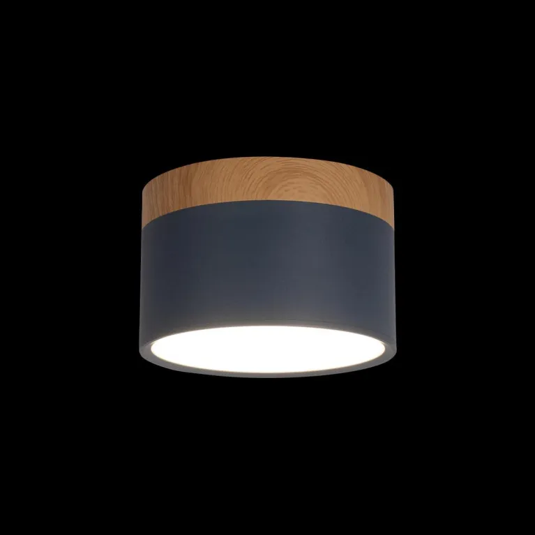 Накладной светодиодный светильник Loft IT Grape 10162 Blue в Нижнем Новгороде