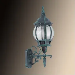Уличный настенный светильник Arte Lamp Atlanta A1041AL-1BG