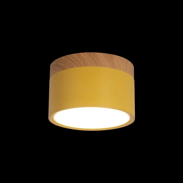 Накладной светодиодный светильник Loft IT Grape 10162 Yellow в Нижнем Новгороде