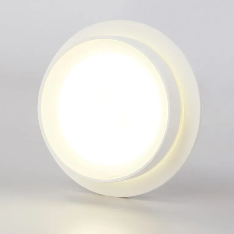 Потолочный светильник Ambrella light TN5383 в Нижнем Новгороде