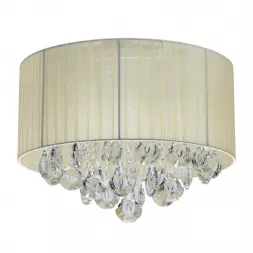 Потолочная люстра MW-Light Жаклин 465016906