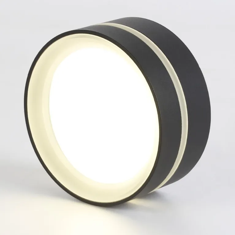 Потолочный светильник Ambrella light TN5389 в Нижнем Новгороде
