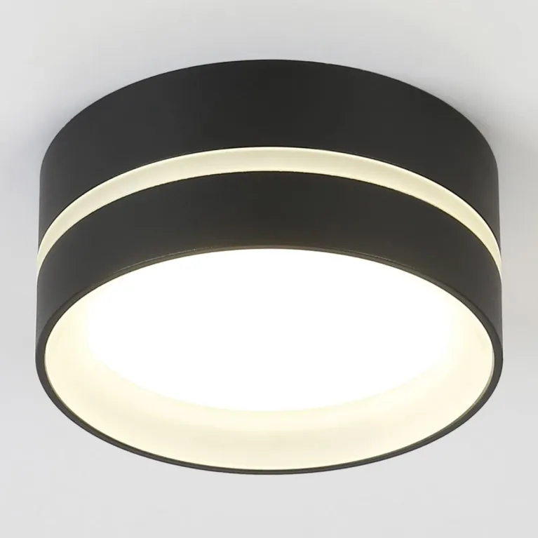 Потолочный светильник Ambrella light TN5389 в Нижнем Новгороде