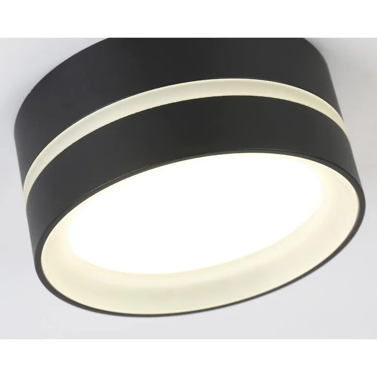 Потолочный светильник Ambrella light TN5389 в Нижнем Новгороде