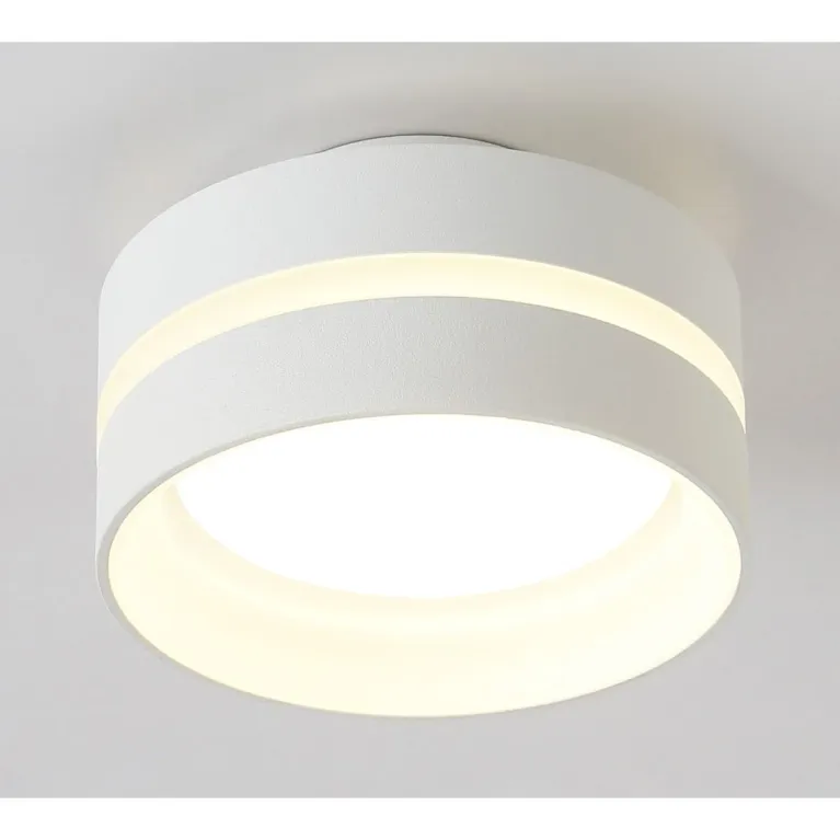 Потолочный светильник Ambrella light TN5419 в Нижнем Новгороде