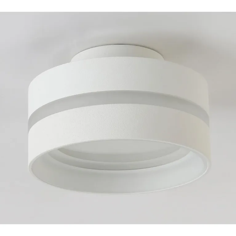 Потолочный светильник Ambrella light TN5419 в Нижнем Новгороде