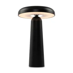 Настольная аккумуляторная лампа Freya Mushroom FR6109TL-L4B