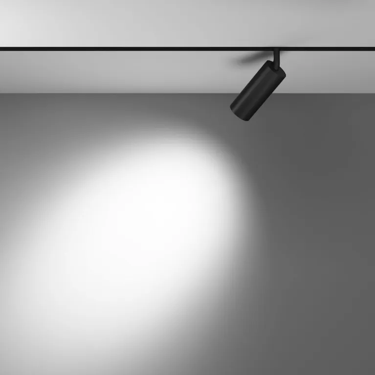 Трековый магнитный светильник Maytoni Focus LED TR032-4-12WTW-S-DD-B в Нижнем Новгороде