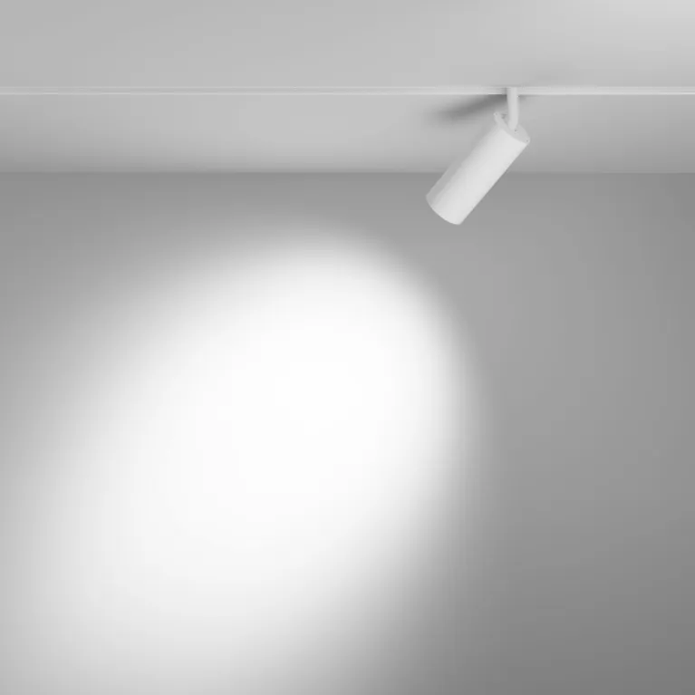 Трековый магнитный светильник Maytoni Focus LED TR032-4-12WTW-S-DD-W в Нижнем Новгороде