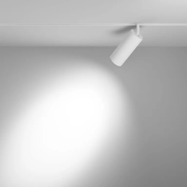 Трековый магнитный светильник Maytoni Focus LED TR032-4-20WTW-S-DD-W в Нижнем Новгороде