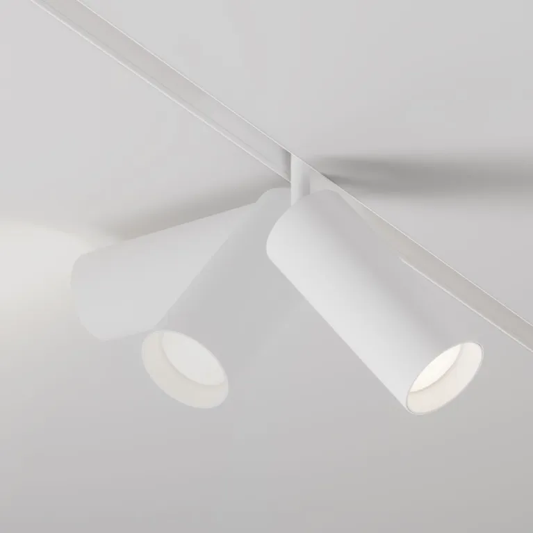 Трековый магнитный светильник Maytoni Focus LED TR032-4-20WTW-S-DD-W в Нижнем Новгороде
