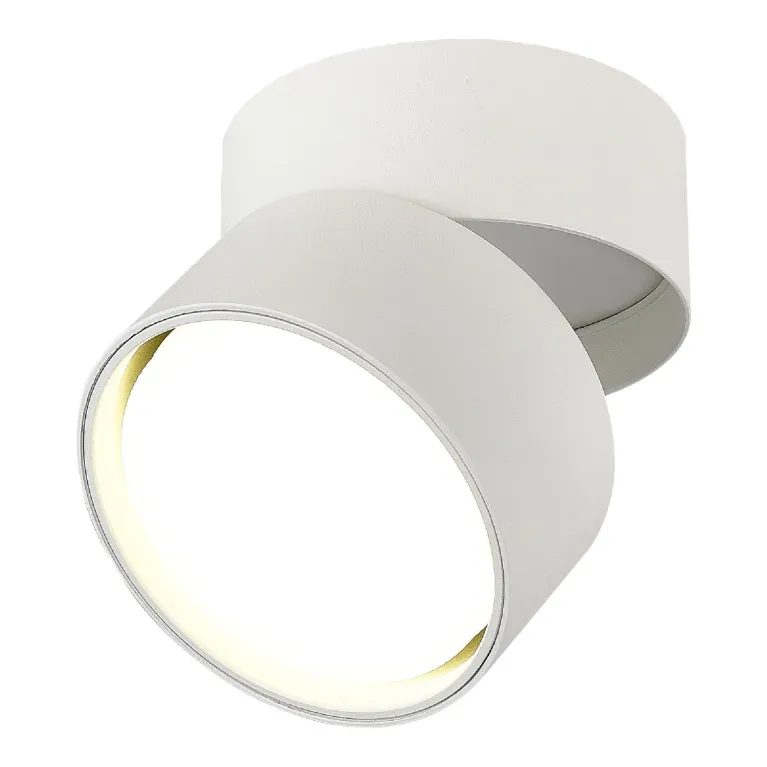 Накладной спот ST Luce ST651.502.01 в Нижнем Новгороде