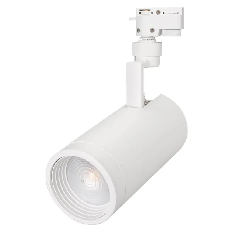 Трековый светодиодный светильник Arlight LGD-Zeus-2TR-R100-30W Day4000 025934 в Нижнем Новгороде