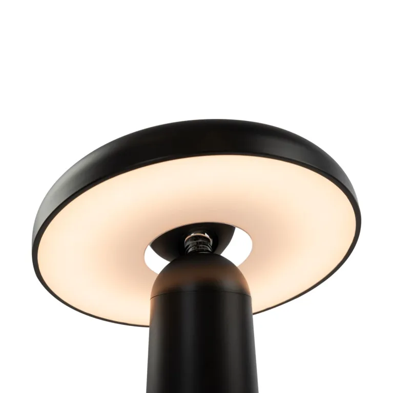 Настольная аккумуляторная лампа Freya Mushroom FR6109TL-L4B в Нижнем Новгороде