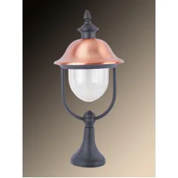 Уличный светильник Arte Lamp Barcelona A1484FN-1BK