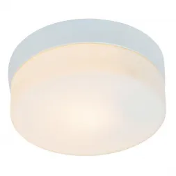 Потолочный светильник Arte Lamp Shirp A3211PL-1WH